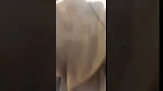 Исчезла