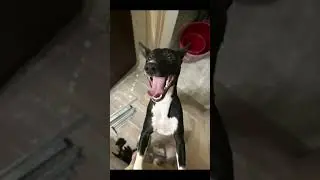 Нескучайка, смеха ради 😜