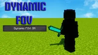 I enabled dynamic FOV...