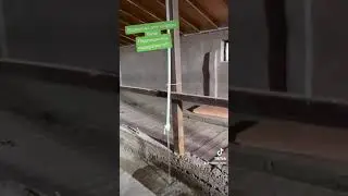 Поилка для бычков