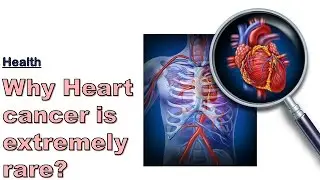 Why Heart Cancer is extremely rare?