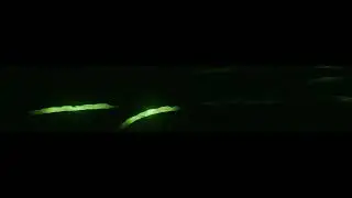 loki branches #loki #season2  #multiverse