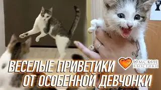 Веселые приветики от особенной девчонки | Софи