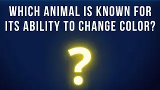 Which animal is known for its ability to change color?