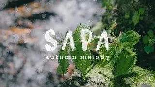 Sapa | Autumn Melody | Part 1
