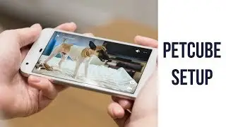 Petcube Bites ► Wi-fi Pet Camera Installation Setup Demonstration ◄  Petcube Play