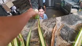 Krabi Hotels Review - See Seaker Krabi- Thailand Hotels