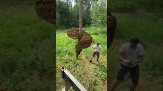 Лучшие моменты трансляции 