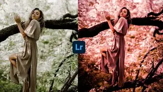 Lightroom professional colour retouching #lightroom #lightroomedit #lightroomediting #editzarmy