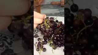 Black berry #shortvideo #enjoyment #youtube #youtubeshorts #foodlover #foodie #food #fruit #graps