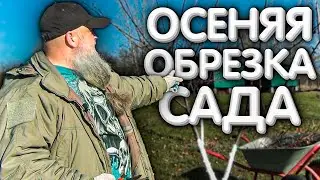 Осенняя ОБРЕЗКА плодовых деревьев. Осеняя обрезка сада.
