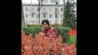 #Амрулло
