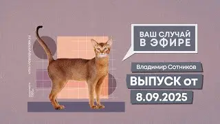 Ваш случай в эфире. Выпуск от 8.09.2025