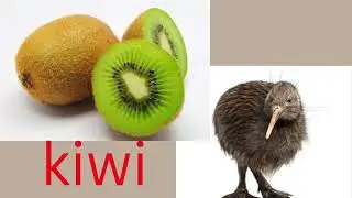 Quiz Time:Five picture Puzzles| Guess the answer| mind Quiz| puzzle game| Picture Puzzle| Riddles-18