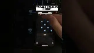 ТАМАЕВ ПОКАЗАЛ МИНЫ? #казино #занос #заносы #flstudio