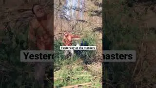 Treemendous