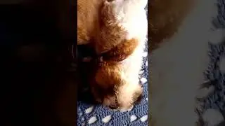 Tenho cócegas 🤣💖. 