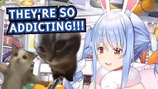 Pekora Talks About Cat Memes (Eng Sub)