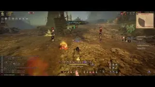 bdo 12/07/2018
