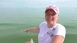 ЧЕРНОЕ МОРЕ СТАЛО ЗЕЛЕНЫМ//ОЧАКОВ//ЧЕРНОМОРКА//14 июня 2019 год//ОТДЫХ НА МОРЕ