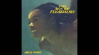 Janelle Monáe - Champagne Shit (Studio Acapella)