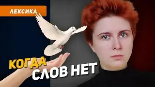Что сказать, когда слов нет? Как выразить соболезнования на французском?