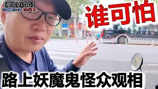 周一A股还是没有起色，交通事故频发是因为人没养成遵纪守法习惯，路上妖魔鬼怪众生相！【罗宾VLOG】