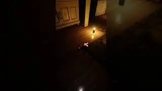 ЭТО МЮЛИИИИНГ!!!