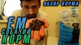 ЕМ СОБАЧИЙ КОРМ! Обзор корма для собак High Premium класса Dibaq (Испания)