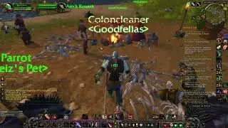 Warmane Onyxia (1 day since launch) - Coloncleaner lvl 37-44 STV, Tanaris world pvp journey