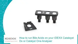 How to run the new IDEXX Catalyst Bile Acids test