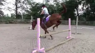 No Hands No Sturrips Lesson Fail RAW HD!