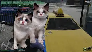 ЧИЛОВЫЙ ПАТРУЛЬ