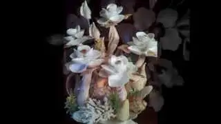 Восхитительные изделия из ракушек