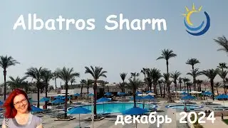 Albatros Sharm Hotel Review - December 2024