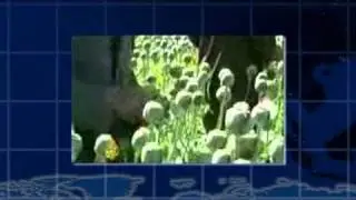 Afghanistan Opium/Heroin Boom
