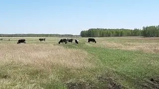 За мгновенье до нападения