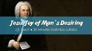 Jesu, Joy of Man's Desiring (J.S. Bach) | 30 Minutes Kalimba Lullaby