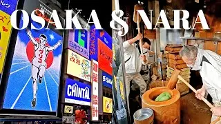 OSAKA & NARA | 2 Days Itinerary | Japan 2024 | Deer Park | Two Off To