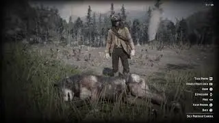 Red Dead Redemption II - Taking Photos With My Hunted Legendary Wolf