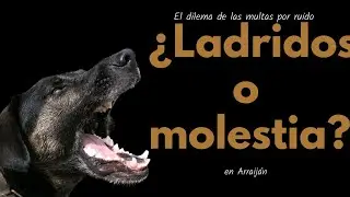 Arraiján ajusta multa por ruidos de mascotas tras polémica