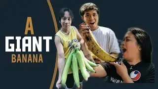 GIANT BANANA FOR GING-GING SOBRANG LAKING SAGING / TANDOK