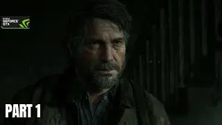 Last Of Us 2 | Future Days | Gtx 1650