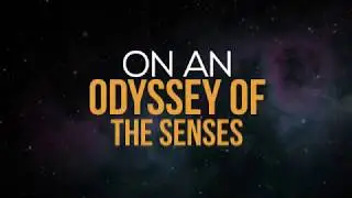 Kinetic typography for your business 4k quality