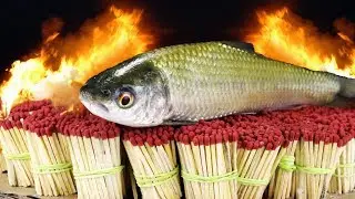 EXPERIMENT 50,000 SAFETY MATCHES vs FISH HERRING