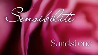 'Sensibilité' by SANDSTONE