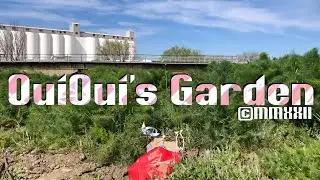 OuiOui's Garden