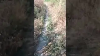 L'eleganza ha un costo