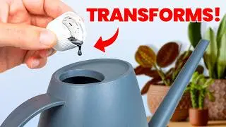 1 Drop And Your Plant's Growth Will Explode