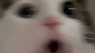 прода
